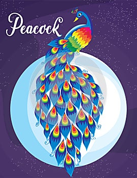 A Peacock under the moonlight