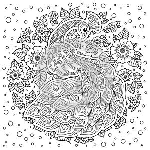 Peacock in zentangle style. Adult antistress coloring page.