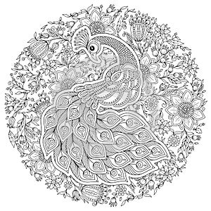 Peacock in zentangle style. Adult antistress coloring page.