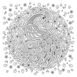 Peacock in zentangle style. Adult antistress coloring page.