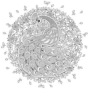 Peacock in zentangle style. Adult antistress coloring page.