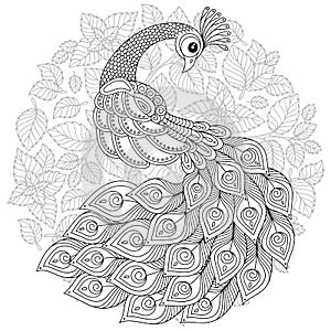 Peacock in zentangle style. Adult antistress coloring page.