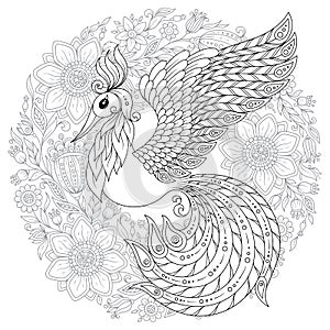 Peacock in zentangle style. Adult antistress coloring page.