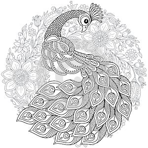 Peacock in zentangle style. Adult antistress coloring page.