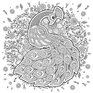 Peacock in zentangle style. Adult antistress coloring page.