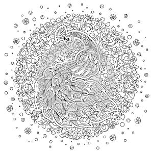Peacock in zentangle style. Adult antistress coloring page.