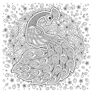 Peacock in zentangle style. Adult antistress coloring page.