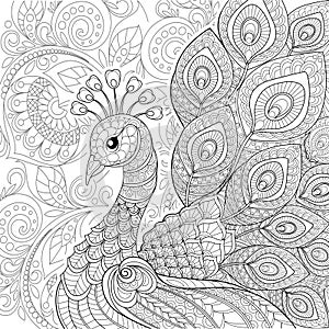 Peacock in zentangle style. Adult antistress coloring page