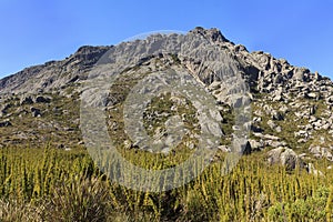 Peak Agulhas Negras (black needles) mountain, Itatiaia, Brazil photo