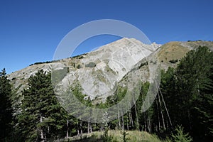 Peak of bure in Alps