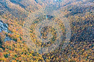 Peak Foilage - Smugglers Notch, Vermont