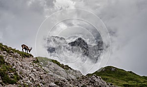 A peak framed by dark clouds