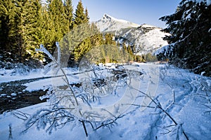 Peak Krivan from Koprova valley, Slovakia