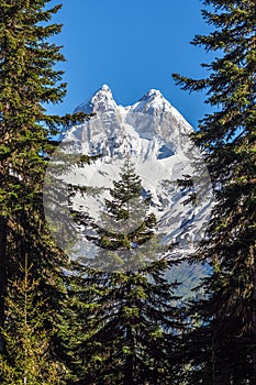 Peak of mount Ushba in Caucasus Mountains, Svanetia region in Ge