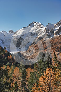 Peak of Piz Bernina in autumn landscape in the Swiss Alps