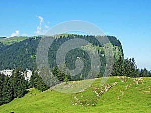 Peak and plateau Alp Sigel in mountain range Alpsten