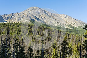 Peak - Slawkowski Szczyt (Slavkovsky stit).