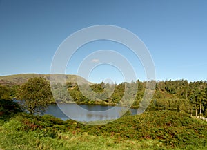 Wetherlam above Tarn Hows