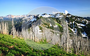 Peaks of the Gifford Pinchot