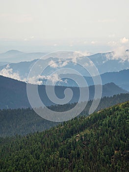 peaks of high mountains overgrown with coniferous forest under a cloudy sky