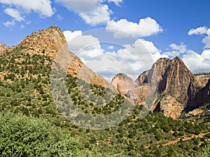 Peaks in Kolob Canyons District of Zion NP