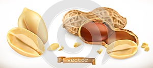 Peanut. 3d realistic vector icon set