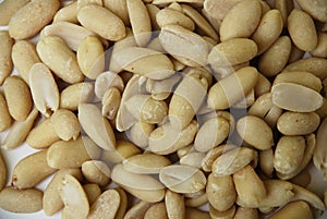 Peanut