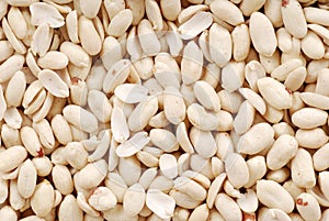 Peanut background