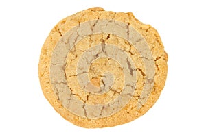 Peanut Butter Cookie Isolated on a White Backgroun photo