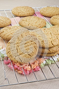 Peanut Butter Cookies