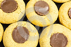 Peanut butter cookies with peanut butter cups