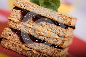 Peanut Butter and Jelly Sandwich