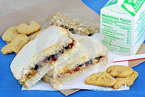 Peanut Butter and Jelly Sandwich Bag Lunch