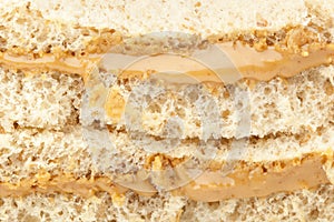 A peanut butter sandwhich