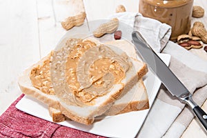 Peanut Butter Sandwich