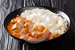 Peanut Domoda stew cooked with chicken pumpkin and a side dish of rice closeup in a plate. horizontal