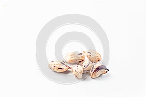 peanut, dried groundnuts, monkey nut on white background