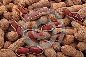 Peanut or groundnut