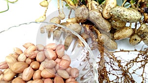 Peanut groundnut plant and a bowl of fruits