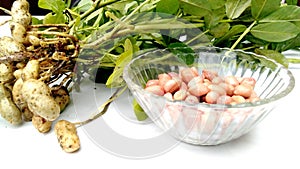 Peanut groundnut plant leaves and a bowl of fruits stock