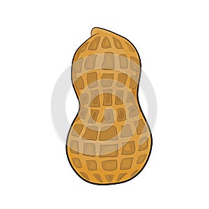 Peanut illustration