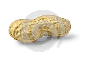 Peanut isolated on white