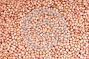 Peanut kernels