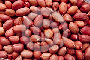 Peanut kernels