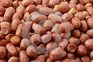 Peanut kernels