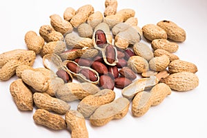 Peanut kernels on a white background