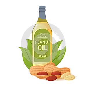 Peanut oil in glass bottle.Nut with palm leaves.