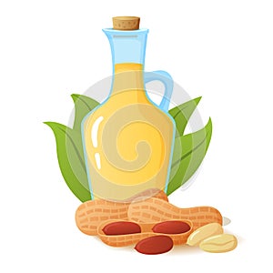 Peanut oil in glass bottle.Nut with palm leaves. Flat illustration.