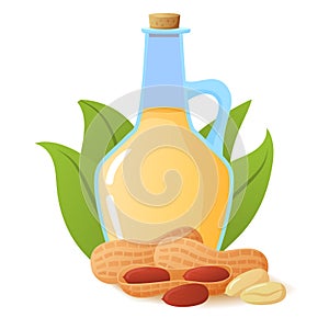 Peanut oil in glass bottle.Nut with palm leaves. Flat illustration vector isolated on white background.