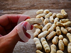 Peanut open shell on group of peanuts close shell